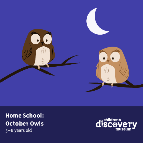 two owls on tree branches with a crescent moon. "Home School October Owls 5-8 years old Children's Discovery Museum"